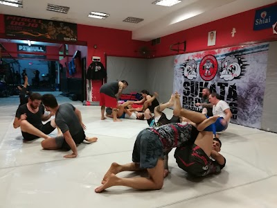 Pitbull Dojo - Jiu jitsu Academia Argentina