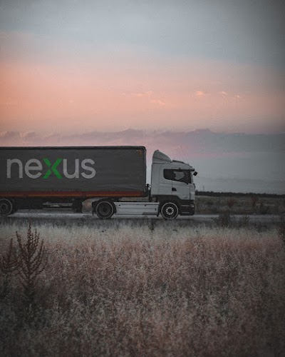 nexus | International Trade