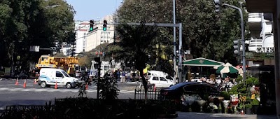 Mi jardín florería Recoleta