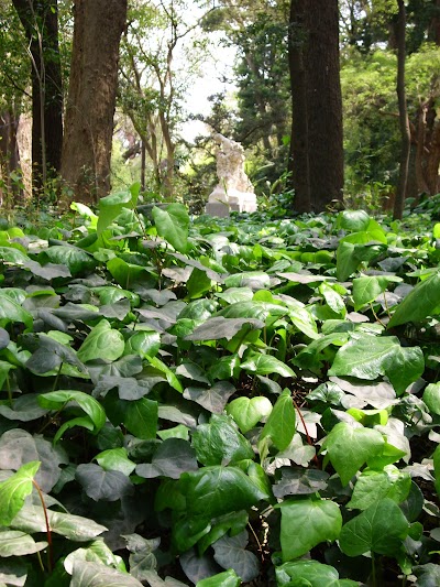 Jardín Botánico Carlos Thays