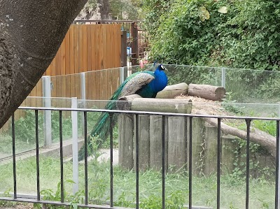 Ecoparque (ex Jardín Zoológico)