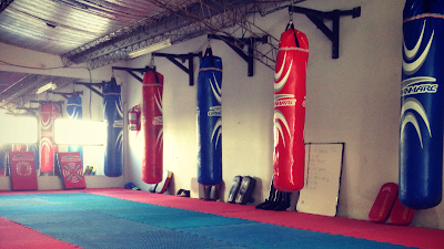 El Palacio - Artes Marciales y Fitness Center