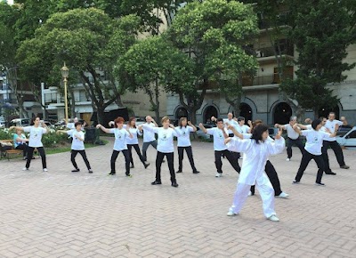 Escuela de Tai Chi Dragón del Sur