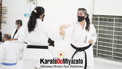 Karate Do Miyazato - Gonzalez Dojo