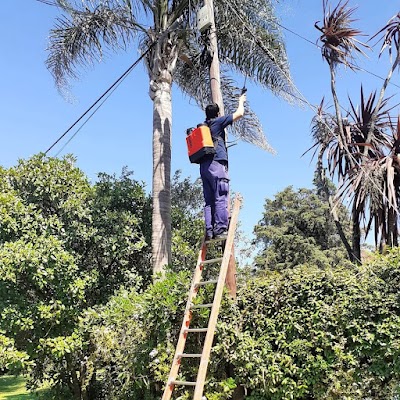 Matamos Por Encargo Fumigadora de Daniel Abad