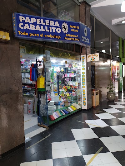 Papelera Caballito