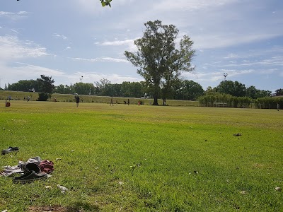 Retirement Rugby