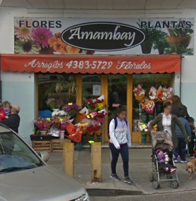 Flowers and plants Amambay