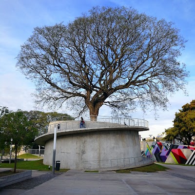 Recoleta Garden