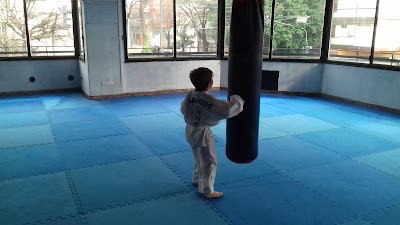 Estudio de Artes Marciales