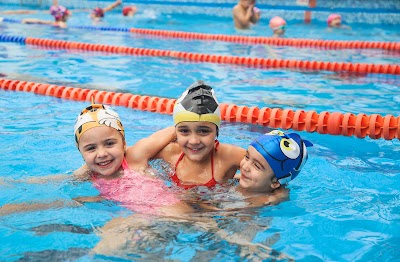 Escuela de Natación Hipocampo