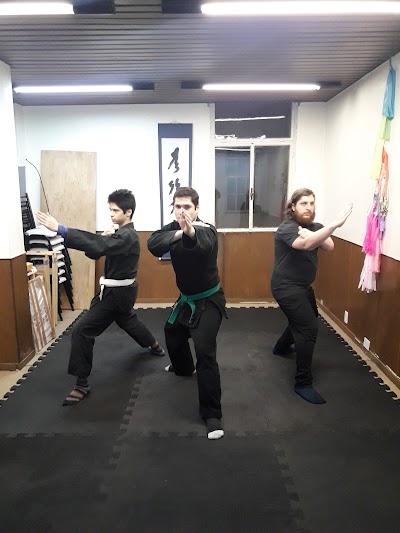 Bujinkan Dojo Argentina - Willy Iglesia Dojo - Villa Crespo