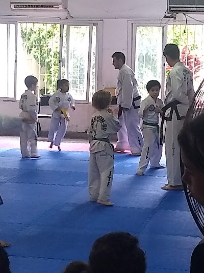 Taekwon-do Liga Argentina