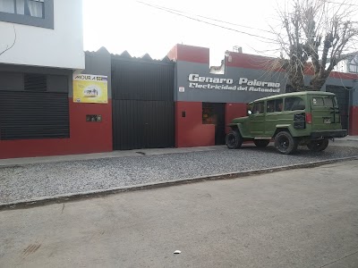 Genaro Palermo electricidad del automóvil