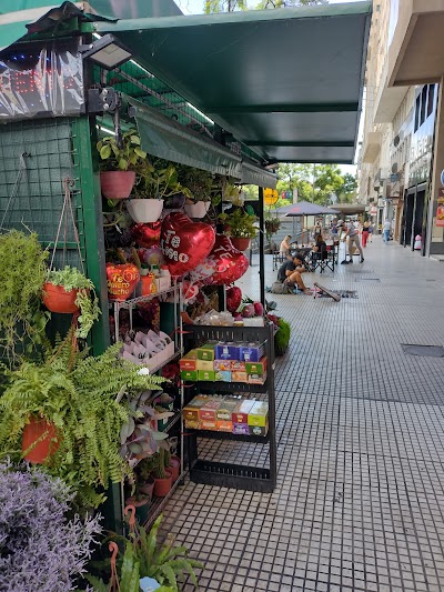 Los Ángeles • Plantas y Flores