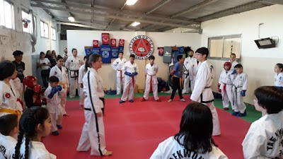 TAEKWON-DO ITF MORÁN AGRONOMÍA