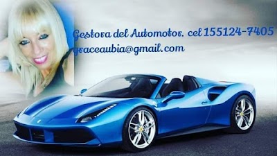 Gestor automotor