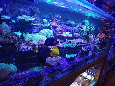 Deep Reef Marine Aquarium