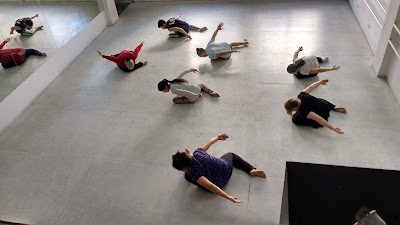 Escuela de Danzas Proyecto Mestizo