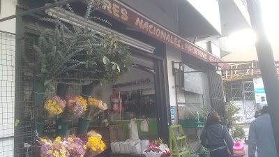 Héctor Camacho Mayorista en Flores