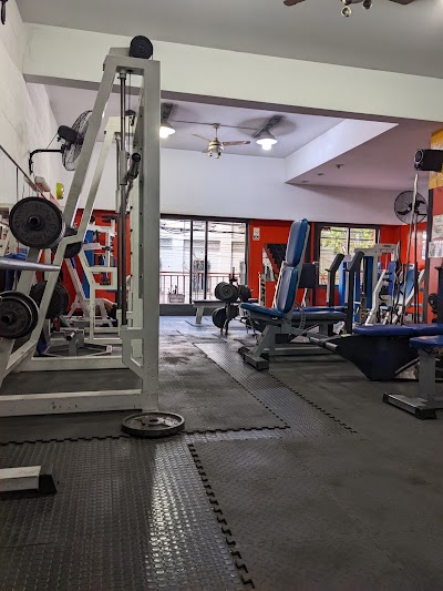 Libra Gym