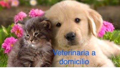 Pet shop Arcoiris Veterinaria a Domicilio