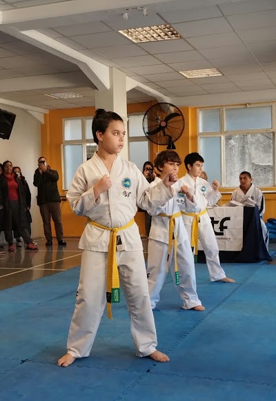 Escuela de TaeKwon-do ITF Carvajal