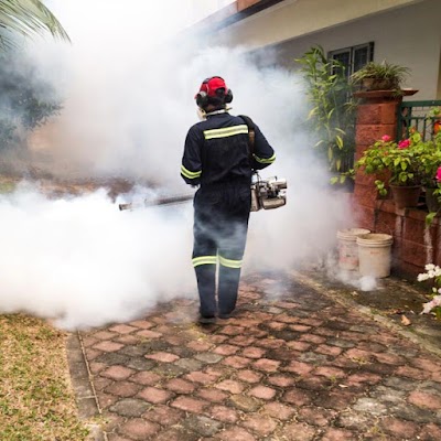 Fumigaciones Servicios Locales