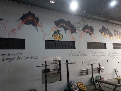 Fenix Gym