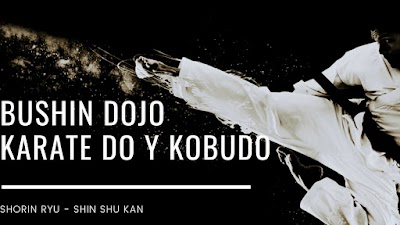 Bushin Dojo Karate Do y Kobu do