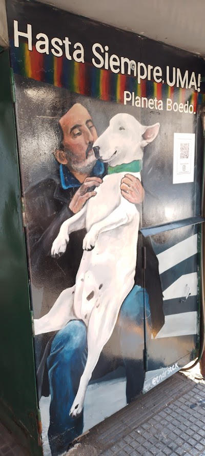 Mural Uma Bull Terrier Boedo