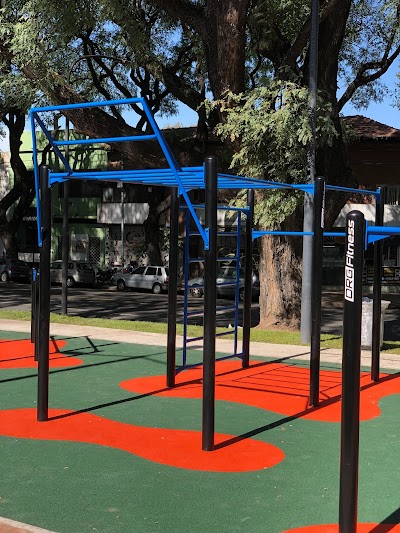 Parque de Calistenia (Proyecto EPDRAGO - Calistenia Argentina, Drg Fitness y Comuna 15)