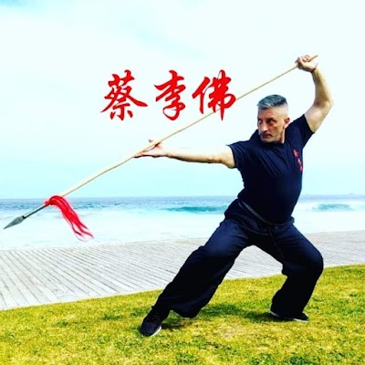 Instituto Choy Lee Fut Kung Fu Familia Chan