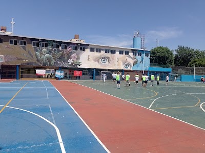 Polideportivo Colegiales