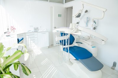 MS Dental Studio