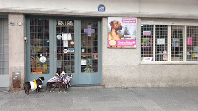 Consultorio Veterinario Colegiales