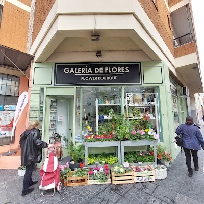 Galería de Flores - San Telmo