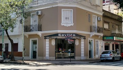 Gavilán Propiedades