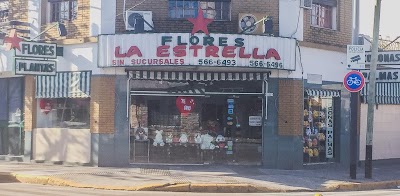 Florería La Estrella