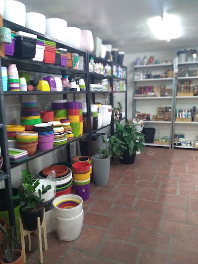 Filomena Vivero-Growshop