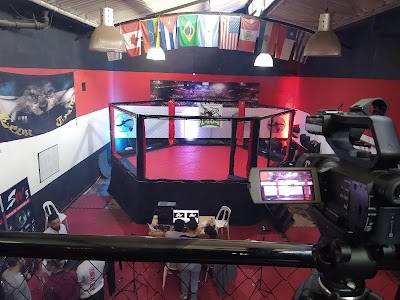 MMA Academy