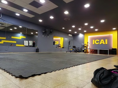 Instituto icai