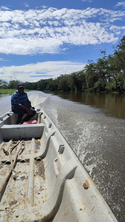 Rio Domingo