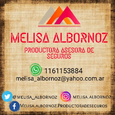 Melisa Albornoz Productora de Seguros