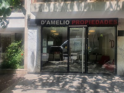 Damelio Propiedades