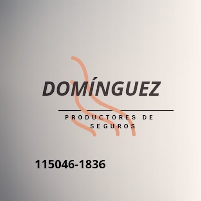 Seguros Dominguez