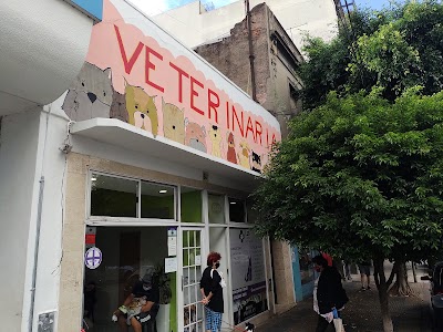 CES Centro Veterinario