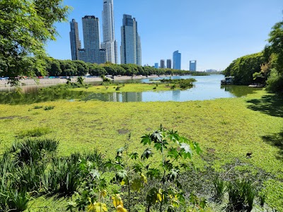 Reserva Ecológica Costanera Sur