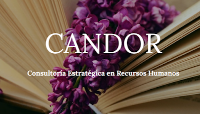 Candor Consultoria Recursos Humanos