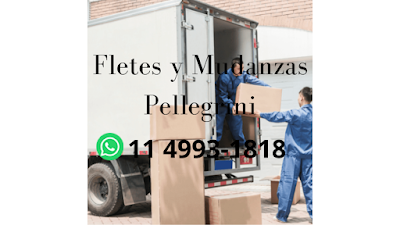 FLETES Y MUDANZAS PELLEGRINI